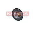KAMOKA Termostat chladiva KAM 7710072, 7710072