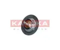 KAMOKA Termostat chladiva KAM 7710076, 7710076