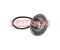 KAMOKA Termostat chladiva KAM 7710095, 7710095