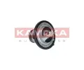 KAMOKA Termostat chladiva KAM 7710098, 7710098