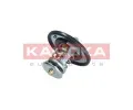 KAMOKA Termostat chladiva KAM 7710101, 7710101
