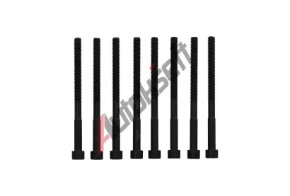 KAMOKA Sada roub pro hlavy vlc KAM 8709012, 8709012