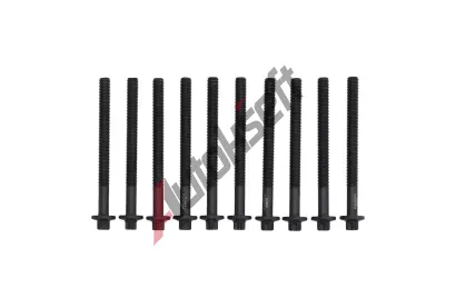 KAMOKA Sada šroubů pro hlavy válců KAM 8709018, 8709018 KAMOKA Sada šroubů pro hlavy válců KAM 8709018, 8709018