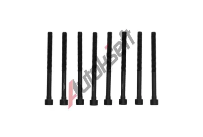 KAMOKA Sada roub pro hlavy vlc KAM 8709021, 8709021