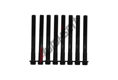 KAMOKA Sada �roub� pro hlavy v�lc� KAM 8709025, 8709025