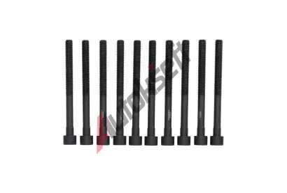 KAMOKA Sada �roub� pro hlavy v�lc� KAM 8709042, 8709042