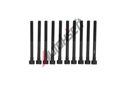 KAMOKA Sada �roub� pro hlavy v�lc� KAM 8709063, 8709063