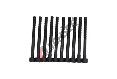 KAMOKA Sada �roub� pro hlavy v�lc� KAM 8709064, 8709064