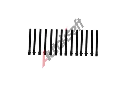 KAMOKA Sada šroubů pro hlavy válců KAM 8709081, 8709081 KAMOKA Sada šroubů pro hlavy válců KAM 8709081, 8709081