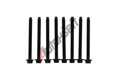 KAMOKA Sada �roub� pro hlavy v�lc� KAM 8709119, 8709119