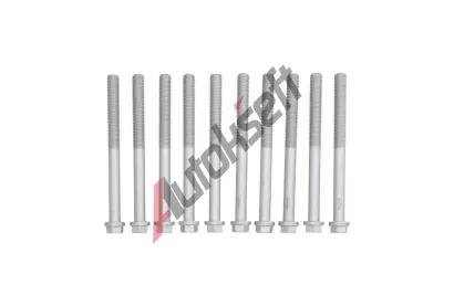 KAMOKA Sada �roub� pro hlavy v�lc� KAM 8709150, 8709150