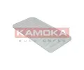 KAMOKA Vzduchov filtr KAM F203801, F203801