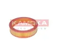 KAMOKA Vzduchov filtr KAM F209301, F209301