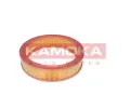 KAMOKA Vzduchov filtr KAM F209301, F209301