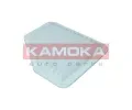 KAMOKA Vzduchov filtr KAM F242101, F242101