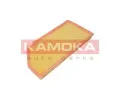 KAMOKA Vzduchov filtr KAM F243801, F243801