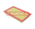 KAMOKA Vzduchov filtr KAM F250001, F250001