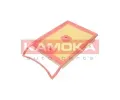 KAMOKA Vzduchov filtr KAM F250801, F250801