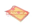 KAMOKA Vzduchov filtr KAM F250801, F250801