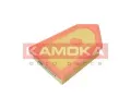 KAMOKA Vzduchov filtr KAM F254301, F254301