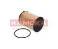KAMOKA Palivov filtr KAM F307801, F307801