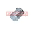 KAMOKA Palivov filtr KAMOKA KAM F317501, F317501