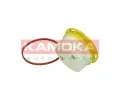 KAMOKA Palivov filtr KAM F320901, F320901