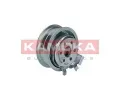 KAMOKA Napnac kladka ozubenho emenu KAM R0127, R0127