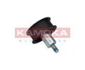 KAMOKA Vratn / vodic kladka ozubenho emenu KAM R0132, R0132