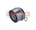 KAMOKA Napnac kladka ozubenho emenu KAM R0388, R0388