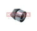 KAMOKA Napnac kladka ozubenho emenu KAM R0499, R0499