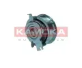 KAMOKA Napnac kladka ozubenho emenu KAM R0524, R0524