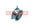 KAMOKA Napnac kladka ozubenho emenu KAM R0524, R0524
