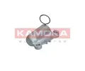 Tlumi vibrac rozvodovho emenu KAMOKA ‐ KAM R8011