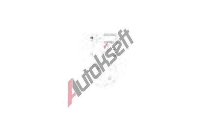 KOLBENSCHMIDT Pst KLB 41072620, 41072620