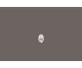 KS Tools roubovac bit KST 911.2213, 911.2213