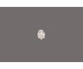 KS Tools �roubovac� bit KST 911.3363, 911.3363