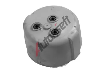 LEMF�RDER Zav�en� motoru LM 35796 01, 35796 01