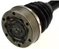 LBRO Hnac hdel LOB 300676, 300676