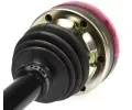 LBRO Hnac hdel LOB 300676, 300676