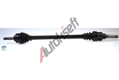 LBRO Hnac hdel LOB 304571, 304571