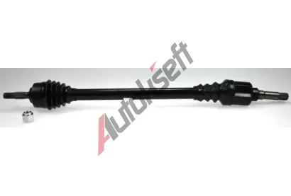 LBRO Hnac hdel LOB 304585, 304585