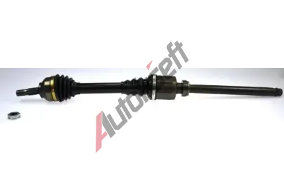 LBRO Hnac hdel LOB 304647, 304647