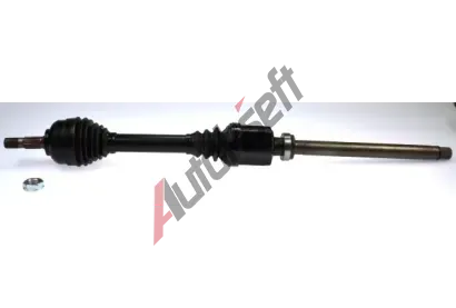 LBRO Hnac hdel LOB 304648, 304648