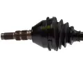 LBRO Hnac hdel LOB 304875, 304875