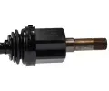 LBRO Hnac hdel LOB 304875, 304875