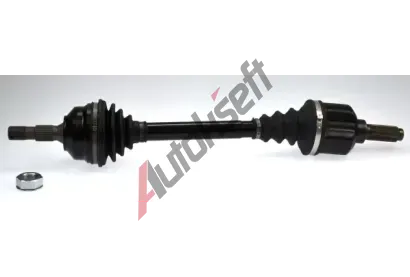 LBRO Hnac hdel LOB 304945, 304945