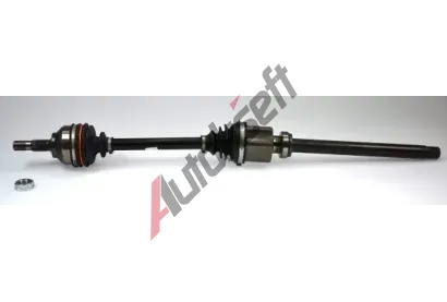 LBRO Hnac hdel LOB 304946, 304946