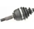 LBRO Hnac hdel LOB 304995, 304995