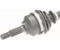 LBRO Hnac hdel LOB 304995, 304995